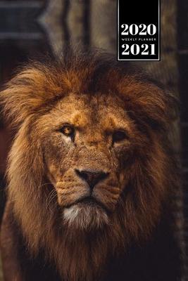 Book cover for Lion Week Planner Weekly Organizer Calendar 2020 / 2021 - Evil Eyes