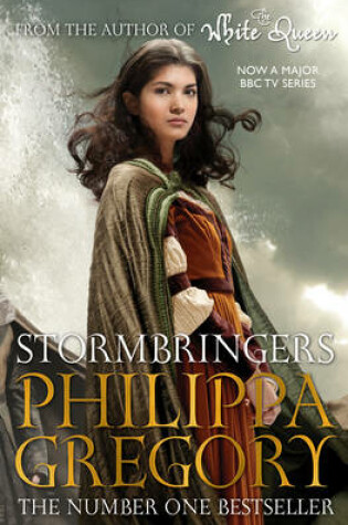 Cover of Stormbringers