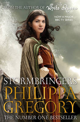 Book cover for Stormbringers