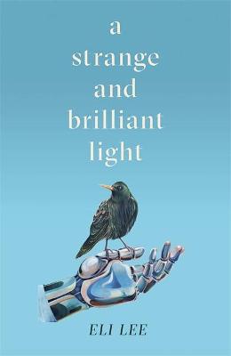 Book cover for A Strange and Brilliant Light: Winner of the Writers’ Guild Best First Novel Award