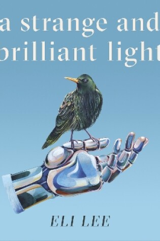 Cover of A Strange and Brilliant Light: Winner of the Writers’ Guild Best First Novel Award