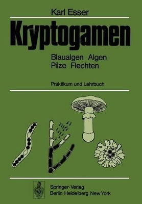 Book cover for Kryptogamen