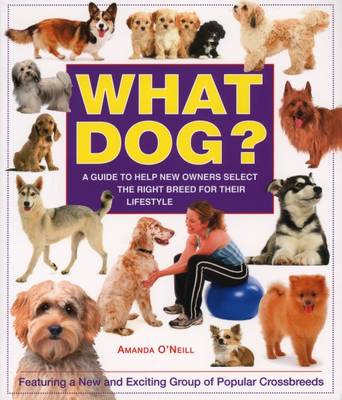 Cover of What Dog?