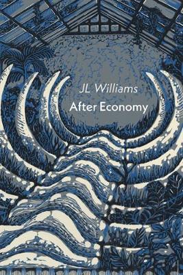 Book cover for After Economy