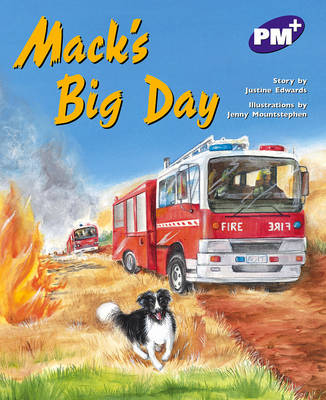 Book cover for Mack's Big Day