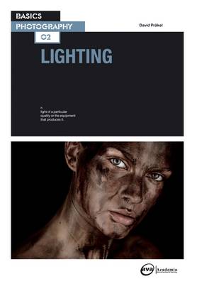 Book cover for Lighting