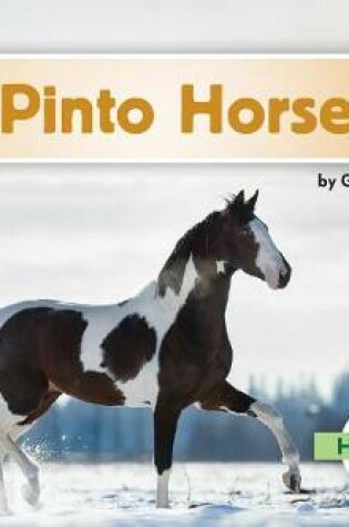 Cover of Pinto Horses