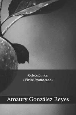 Book cover for Coleccion 2 Vivire Enamorado