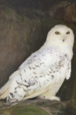 Cover of Snowy Owl On Rocky Outcropping - Lined Notebook with Margins - 6x9