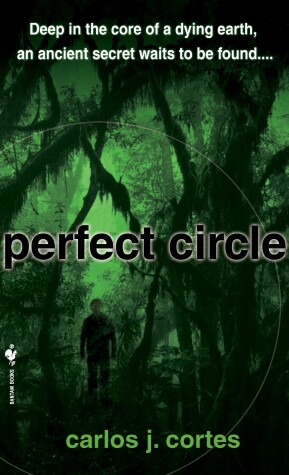 Book cover for Perfect Circle