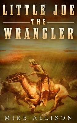 Book cover for Little Joe the Wrangler