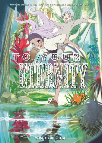 Book cover for To Your Eternity 9