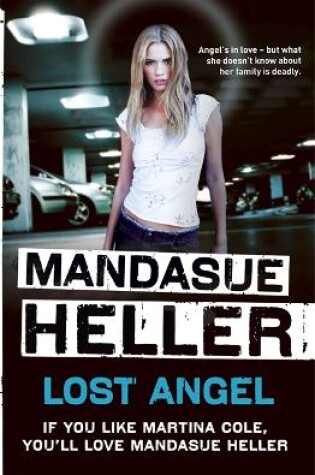 Cover of Lost Angel