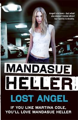 Book cover for Lost Angel