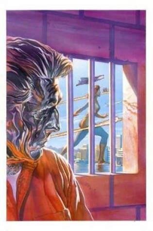 Cover of Astro City Vol. 14  Reflections