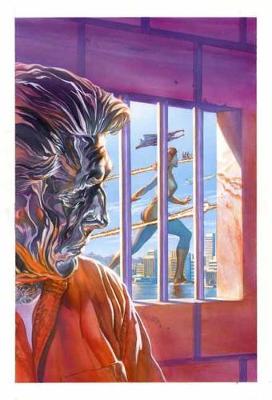 Book cover for Astro City Vol. 14  Reflections