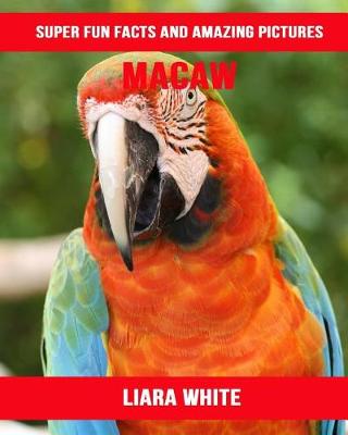 Book cover for Macaw