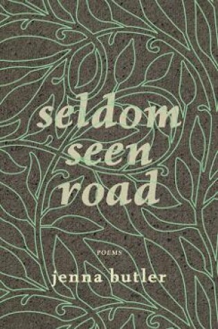 Cover of Seldom Seen Road