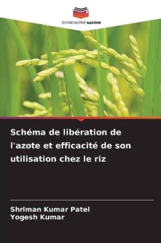 Cover of Sch�ma de lib�ration de l'azote et efficacit� de son utilisation chez le riz