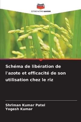 Book cover for Sch�ma de lib�ration de l'azote et efficacit� de son utilisation chez le riz