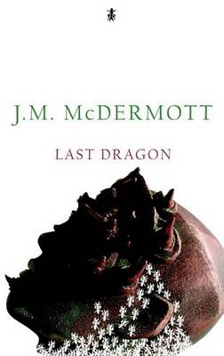 Book cover for Last Dragon