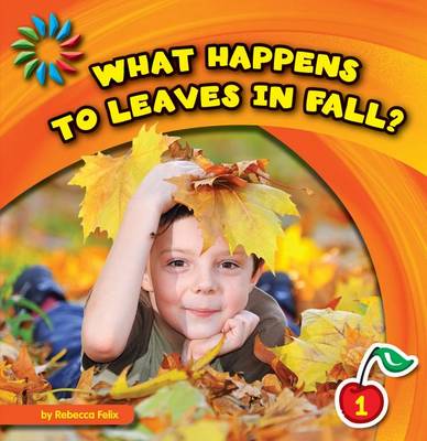 Book cover for What Happens to Leaves in Fall?