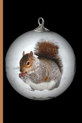 Cover of Christmas 6 Squirrel Eating a Nut in the Snow Ornament