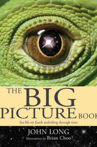 Cover of The Big Picture Book