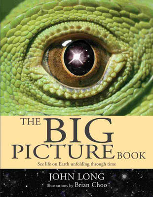 Book cover for The Big Picture Book