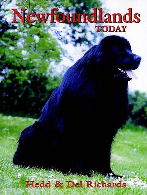 Book cover for Newfoundlands Today