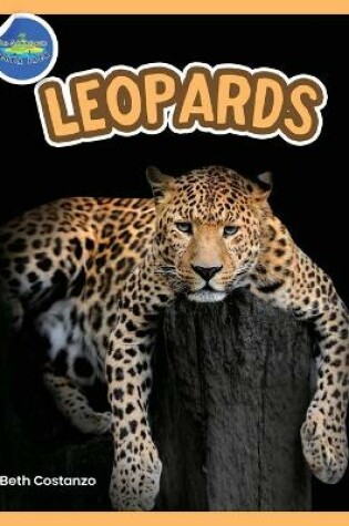 Cover of The Amazing World of Leopards Booklet with Activities ages 4-8