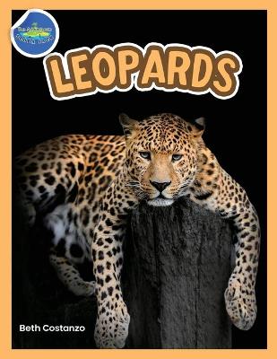 Book cover for The Amazing World of Leopards Booklet with Activities ages 4-8