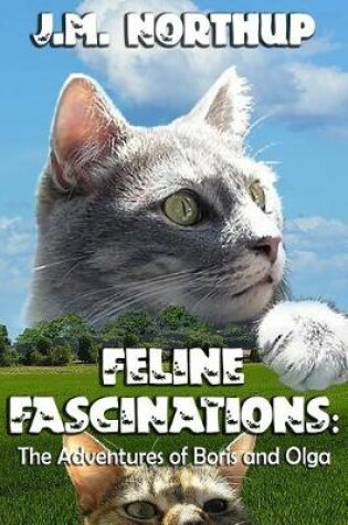 Cover of Feline Fascinations