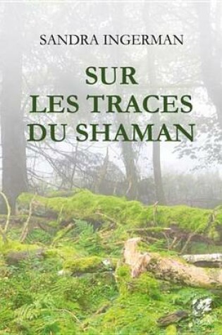 Cover of Sur Les Traces Du Shaman