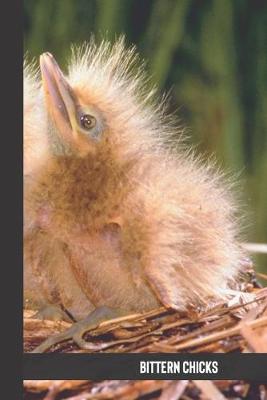 Book cover for bittern chicks