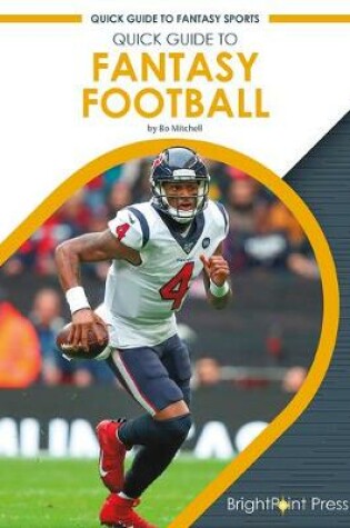 Cover of Quick Guide to Fantasy Football