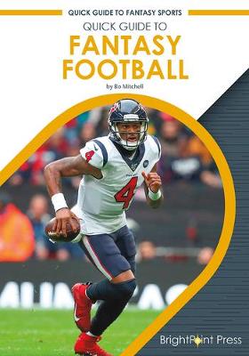 Book cover for Quick Guide to Fantasy Football