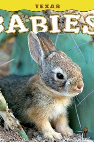 Cover of Texas Babies!