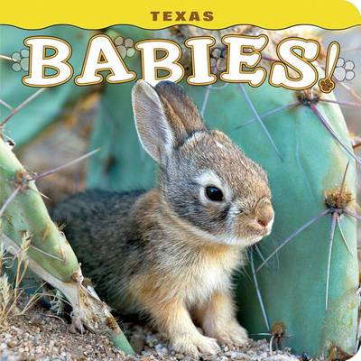 Book cover for Texas Babies!