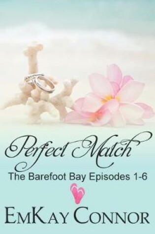 Cover of Perfect Match