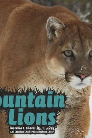 Cover of Mountain Lions