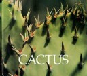 Book cover for Cactus