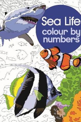 Cover of Sea Life Colour by Numbers