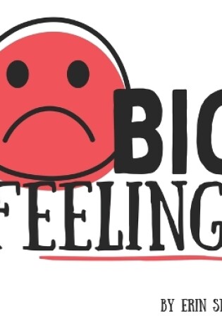 Cover of BIG Feelings