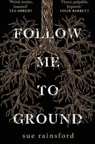 Cover of Follow Me To Ground