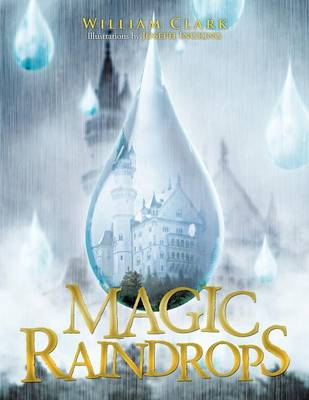 Book cover for Magic Raindrops