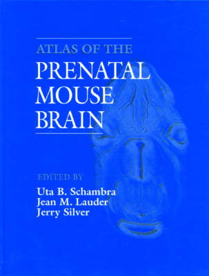 Book cover for Atlas of the Prenatal Mouse Brain