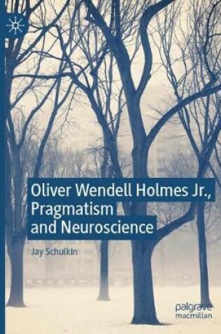 Cover of Oliver Wendell Holmes Jr., Pragmatism and Neuroscience