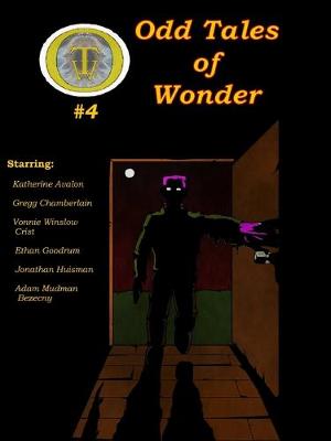 Book cover for Odd Tales of Wonder #4