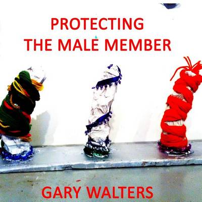 Book cover for Protecting the Male Member